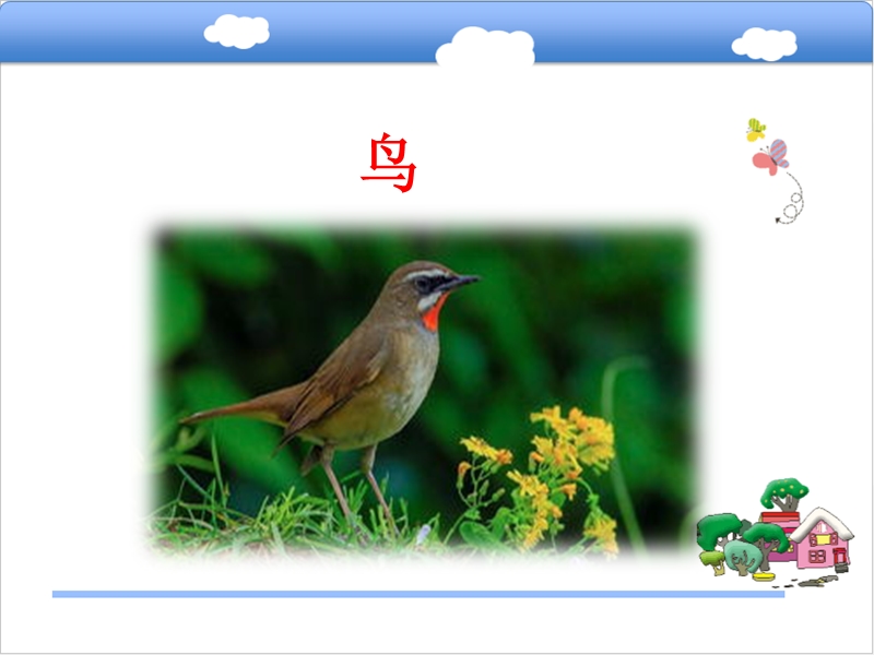 【长春版】语文二年级上册：第3单元《鸟》课件_第1页