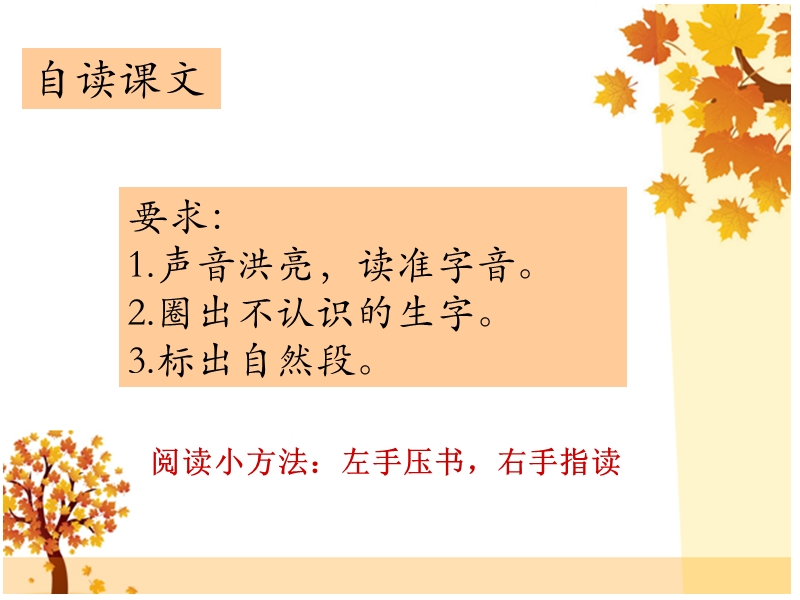 【北京版】语文二年级上册：第4课《火红的枫叶》课件（1）_第2页
