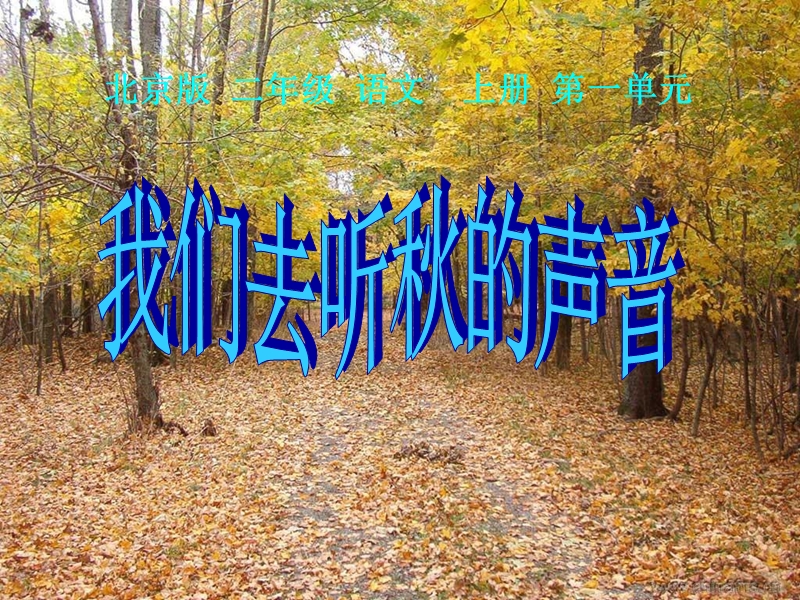 【北京版】语文二年级上册：第2课《我们去听秋的声音》课件（1）_第1页