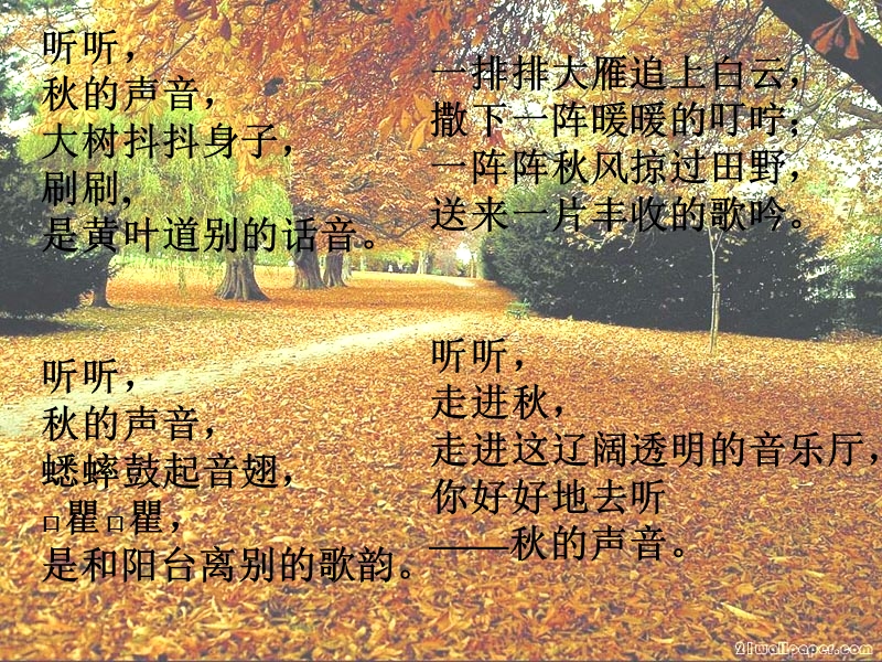 【北京版】语文二年级上册：第2课《我们去听秋的声音》课件（1）_第2页
