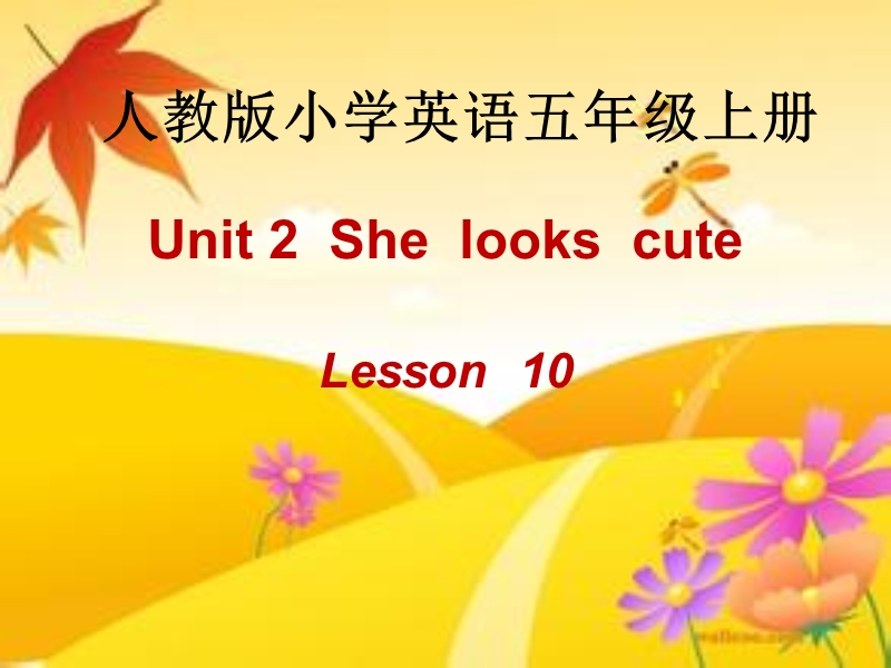 人教精通版英语五年级上：Unit 2《She looks cute》（Lesson 10）课件_第1页