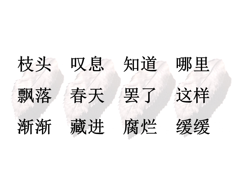 【北京版】语文二年级上册：第5课《鸟儿和树叶》课件（2）_第3页