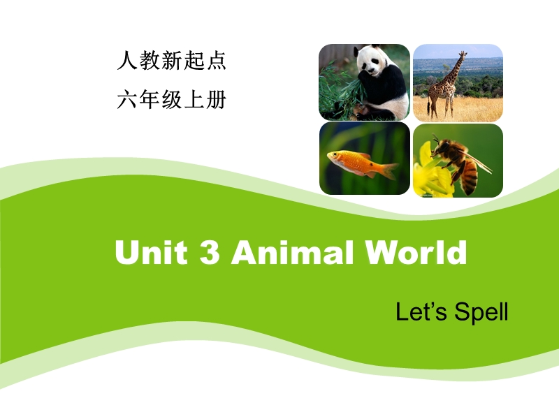 人教版（新起点）英语六年级上：Unit 3《Animal World》（Let’s Spell）课件_第1页