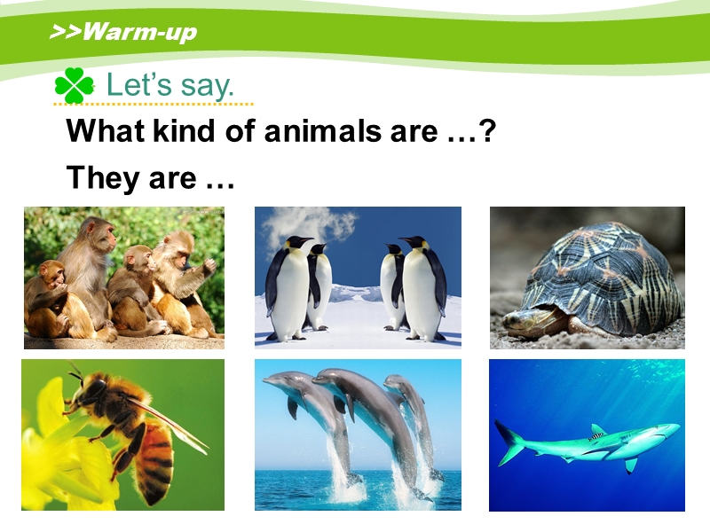 人教版（新起点）英语六年级上：Unit 3《Animal World》（Lesson 3）课件_第2页