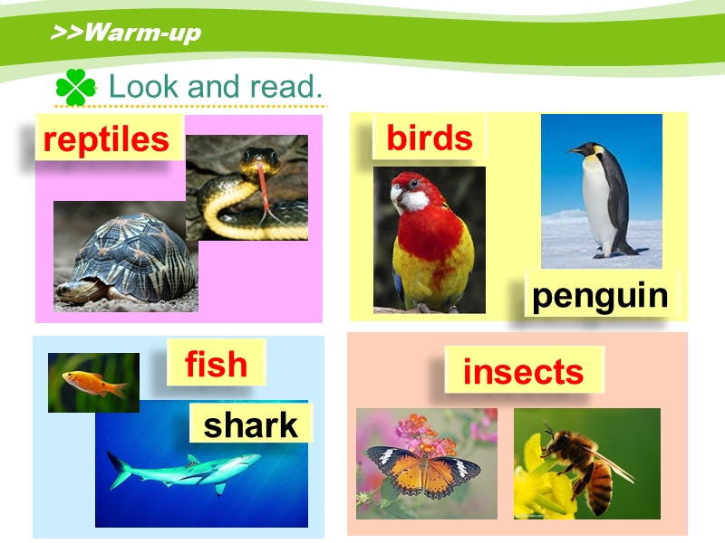 人教版（新起点）英语六年级上：Unit 3《Animal World》（Lesson 2）课件_第2页