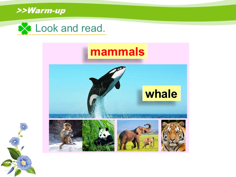 人教版（新起点）英语六年级上：Unit 3《Animal World》（Lesson 2）课件_第3页