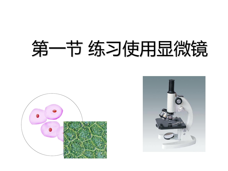 【人教版】生物七年级上：2.1.1《练习使用显微镜》课件（1）_第1页