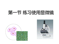 【人教版】生物七年级上：2.1.1《练习使用显微镜》课件（1）