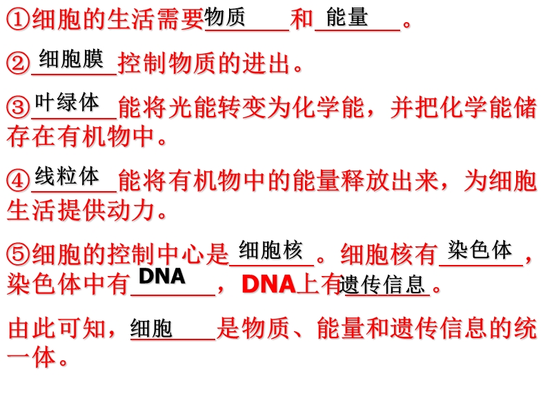 【人教版】生物七年级上：2.2.1《细胞通过分裂产生新细胞》课件（3）_第1页