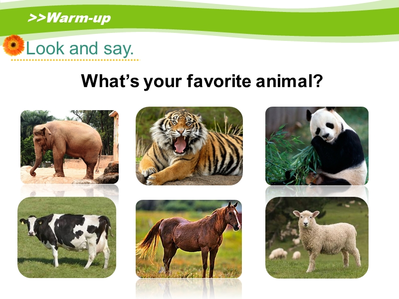人教版（新起点）英语五年级上：Unit 3《Animals》（Lesson 3）课件_第2页