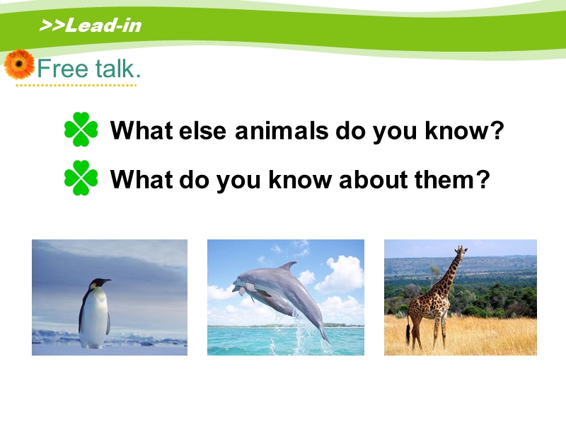 人教版（新起点）英语五年级上：Unit 3《Animals》（Lesson 3）课件_第3页