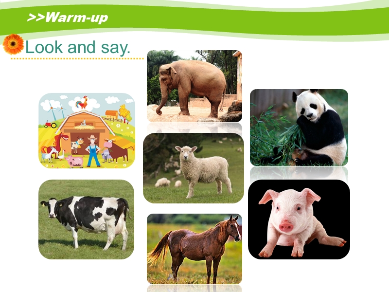 人教版（新起点）英语五年级上：Unit 3《Animals》（Lesson 2）课件_第2页