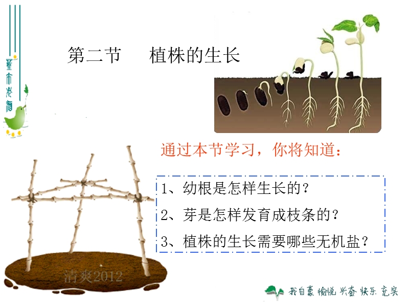 【人教版】生物七年级上：3.2.2《植株的生长》课件（2）_第1页