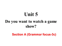 2018年秋新目标八年级上Unit5 Section A(Grammar focus-3c)课件