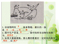 【北师大版】生物八年级上：17.2《我国的动物资源及其保护》课件（2）