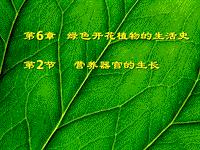 【北师大版】生物七年级上册：3.6.2《营养器官的生长》课件（3）