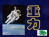 【北京课改版】物理八年级下册：3.3《重力》课件（2）