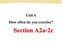 鲁教版七年级英语上册Unit6 How often do you exercise Period2课件