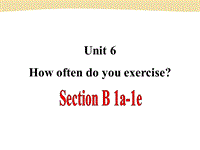 鲁教版七年级英语上册Unit6 How often do you exercise SectionB Period1课件