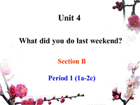 鲁教版七年级英语上册Unit4 What did you do last weekend Period3参考课件