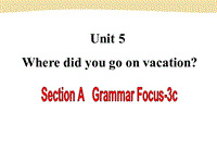 鲁教版七年级英语上册Unit5 Where did you go on vacation Grammar Focus-3c课件