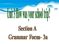 鲁教版七年级英语上册Unit3 How was your school trip SectionA（Grammar-3b）课件