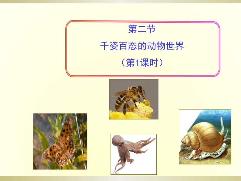 【苏教版】生物八年级上册：14.2《千姿百态的动物世界》课件（2）_第3页
