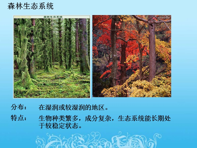 【苏教版】生物八年级上册：20.1《生物圈中的各种生态系统》课件（2）_第3页