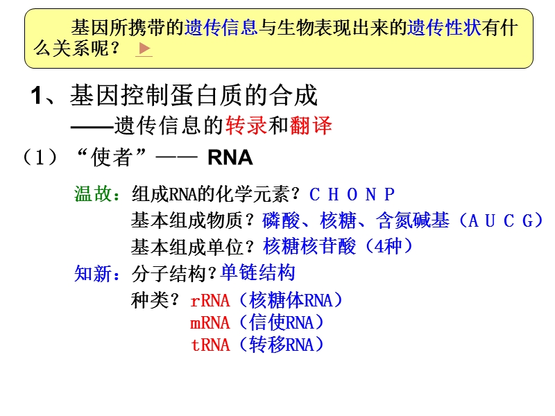 【沪科版】高中生命科学第二册：6.2《DNA复制和蛋白质合成》课件3_第2页