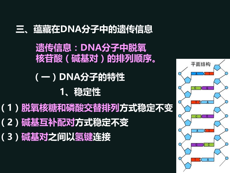 【沪科版】高中生命科学第二册：6.2《DNA复制和蛋白质合成》课件4_第1页