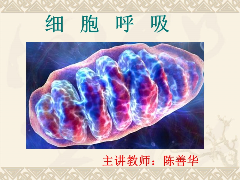 【沪科版】高中生命科学第一册：4.3《细胞呼吸》课件4_第2页