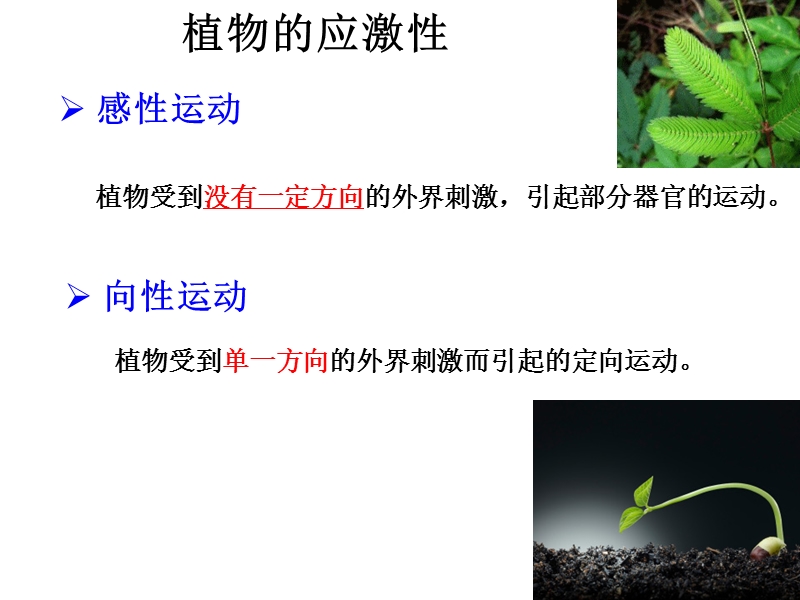 【沪科版】高中生命科学第二册：5.5《植物生长发育的调节》课件1_第3页