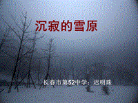 【长春版】语文八年级上册：第19课《沉寂的雪原》课件2