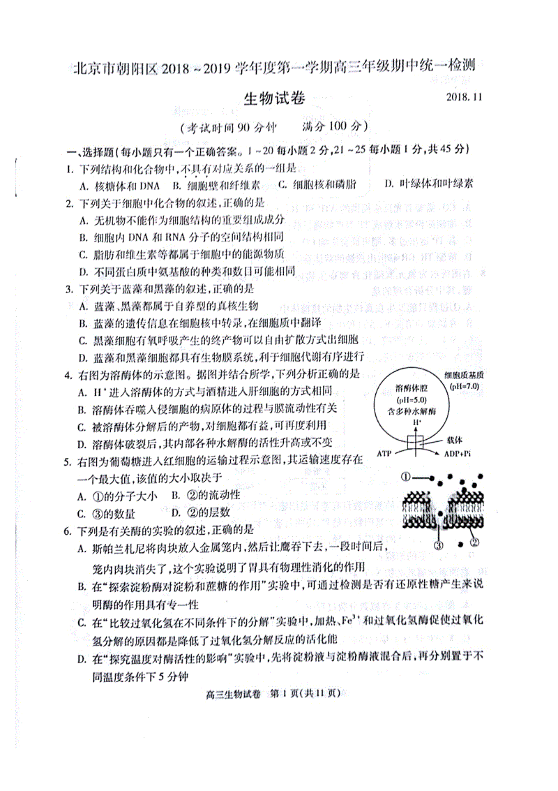 北京市朝阳区2019届高三上学期期中考试生物试卷含答案（pdf版）