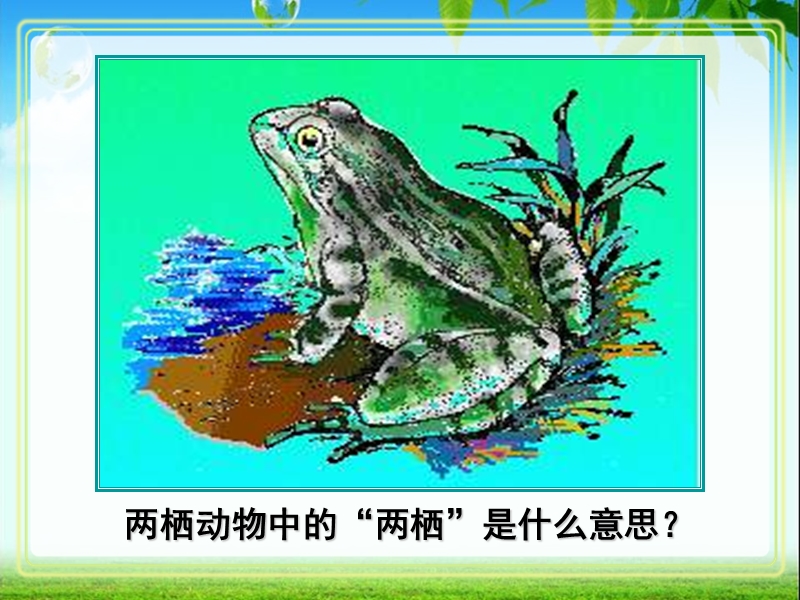 【鲁科版】生物八年级上册：7.1.5《两栖类和爬行类》课件2_第3页