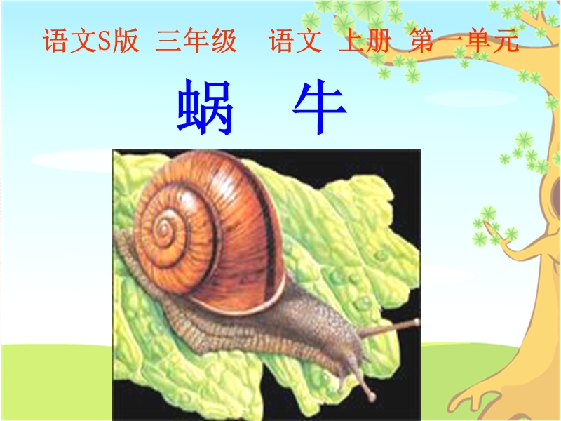 语文S版三年级上册《蜗牛》课件3_第2页