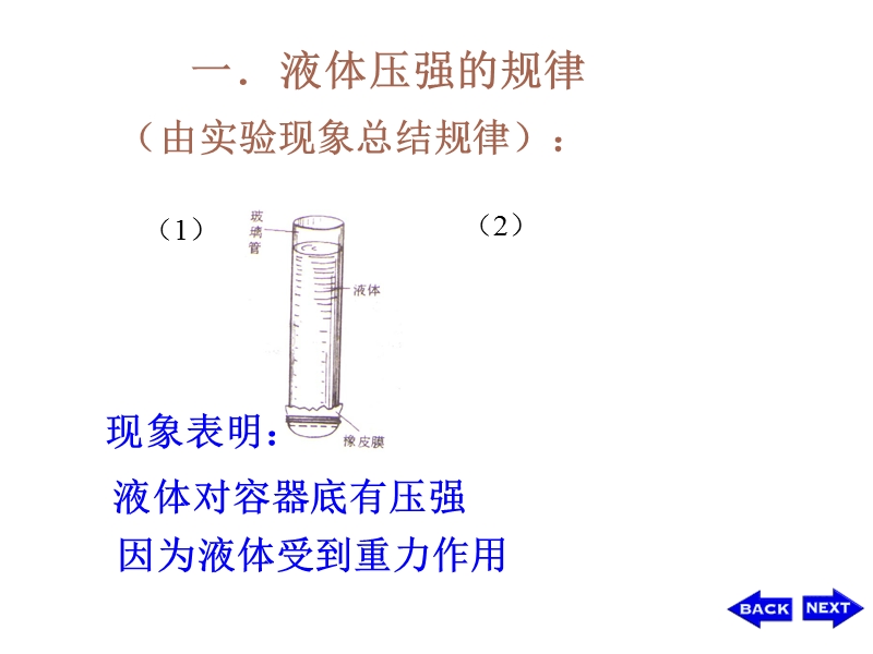 【苏科版】物理八年级下册10.2《液体的压强》课件2_第2页