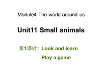 牛津上海版（深圳用）英语三年级上Unit 11《Small animals》（第1课时）课件