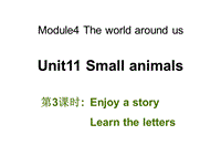 牛津上海版（深圳用）英语三年级上Unit 11《Small animals》（第3课时）课件
