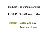 牛津上海版（深圳用）英语三年级上Unit 11《Small animals》（第2课时）课件