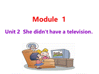 外研版（三起）英语五年级下Module1 Unit2 She didn't have a twlevision课件