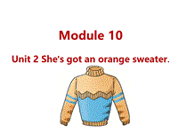 外研版（三起）英语三年级下Module10 Unit2 She's got an orange sweater.课件