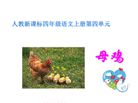 【人教版】四年级上册语文：第16课《母鸡》课件2