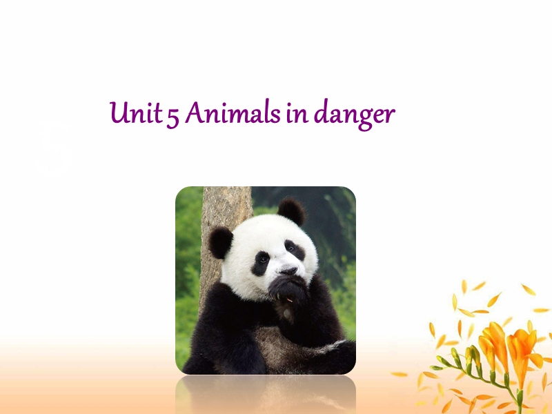 牛津上海版（深圳用）六年级上英语Unit 5《Animals in danger》课件_第1页