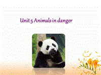 牛津上海版（深圳用）六年级上英语Unit 5《Animals in danger》课件