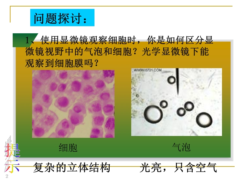 【沪科版】高中生命科学第一册：3.1《细胞膜》课件3_第2页