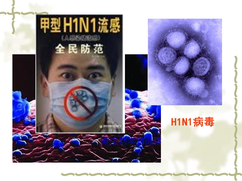 【沪科版】高中生命科学第一册：3.3《非细胞形态的生物-病毒》课件2_第2页