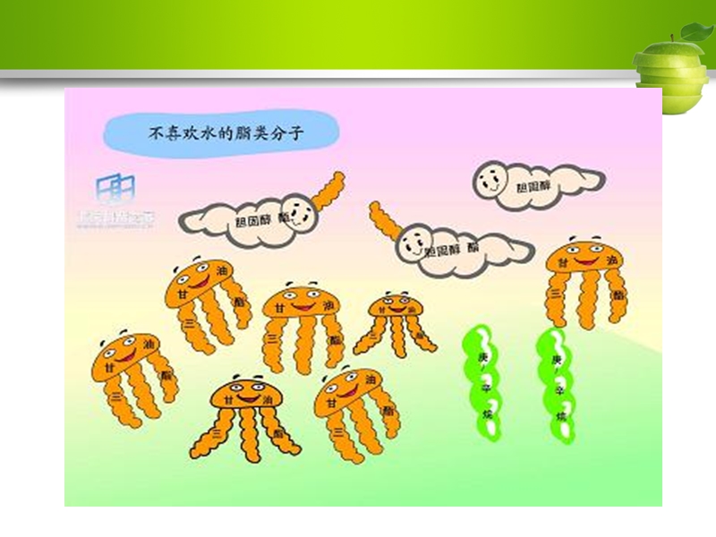 【沪科版】高中生命科学第一册：2.2《生物体中的有机化合物》课件3_第3页