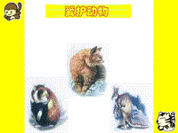 【人教版】《生活与科技》二年级上册：1.5《爱护动物》课件2
