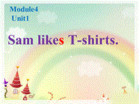外研版一起英语二年级上Module 4《Unit 1 Sam like T-shirts》课件2